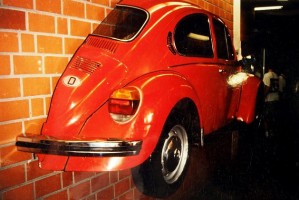 im kleefeld: image 2 0f 4 thumb